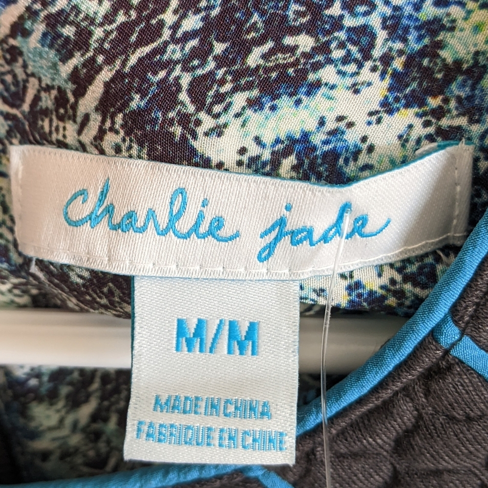 Charlie Jade mini dress